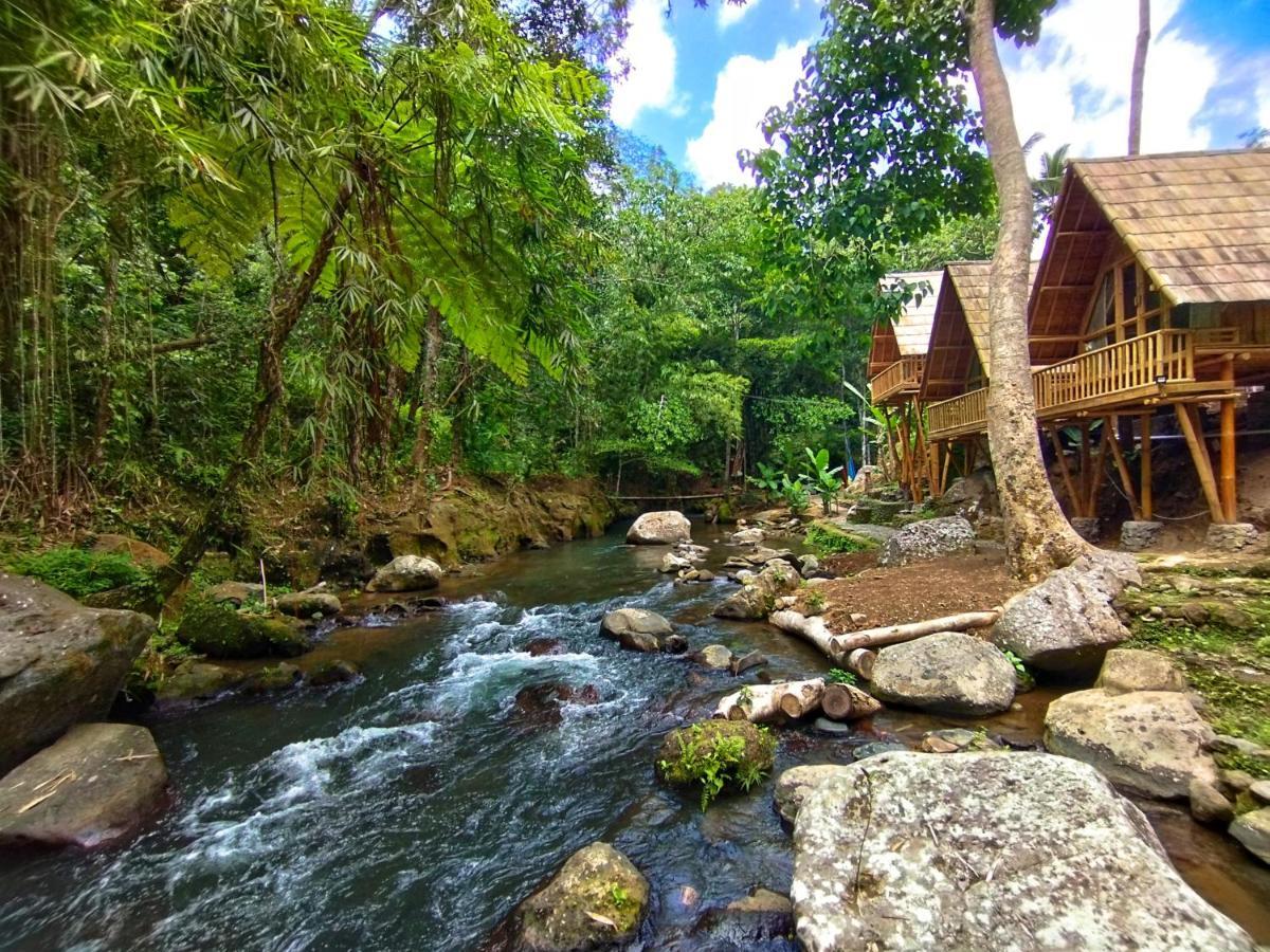 Aksha Riverside Ubud Tampaksiring المظهر الخارجي الصورة